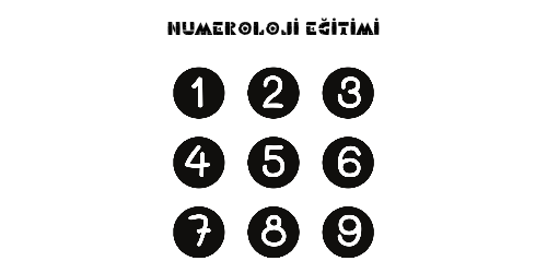 NUMEROLOJİ