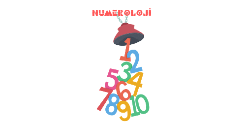 NUMEROLOJİ
